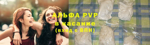 ешки Пересвет
